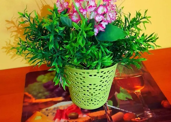 Apartamento In Mit Gemauertem Grill By Interhome