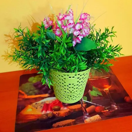 Apartament In Mit Gemauertem Grill By Interhome